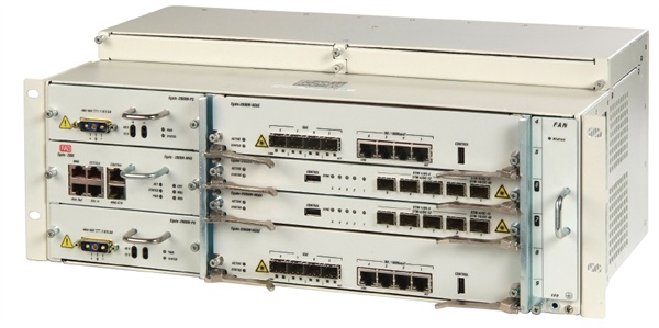 Ethernet через PDH/SDH/SONET (Egate, Rici, Rici-LC, Ric)