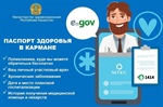 Все казахстанцы уже имеют электронный паспорт здоровья